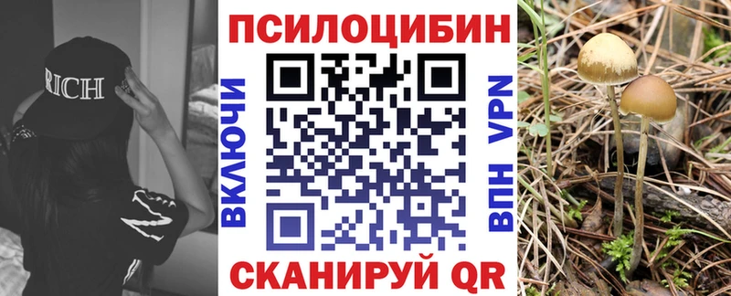 цены   Волгодонск  Псилоцибиновые грибы MAGIC MUSHROOMS 